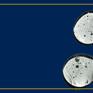 5 Must-Try Types of Lube