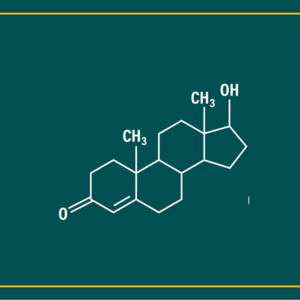 Beyond Testosterone: Why Estrogen & Progesterone Matter for Men
