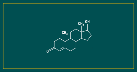 Beyond Testosterone: Why Estrogen & Progesterone Matter for Men