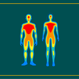 What Are Erogenous Zones?