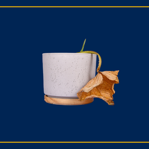 How Long Do Condoms Really Last?