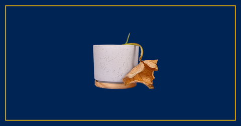 How Long Do Condoms Really Last?