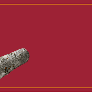 Morning Wood Explained