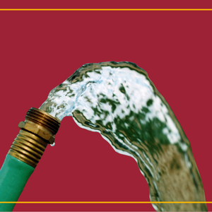 Prostate Health & Sex: What Every Guy Should Know