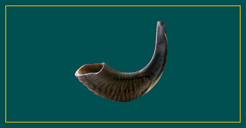 The History of Condoms