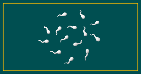 The “Spermpocalypse” – Male Fertility, Sperm Health & Lifestyle Factors