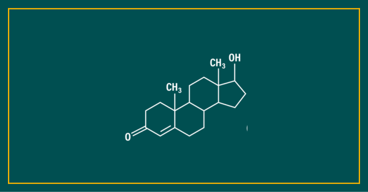 Beyond Testosterone: Why Estrogen & Progesterone Matter for Men