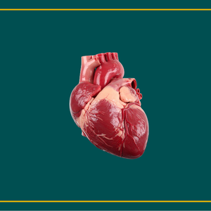 ED & Your Heart: What Your Body Might Be Telling You
