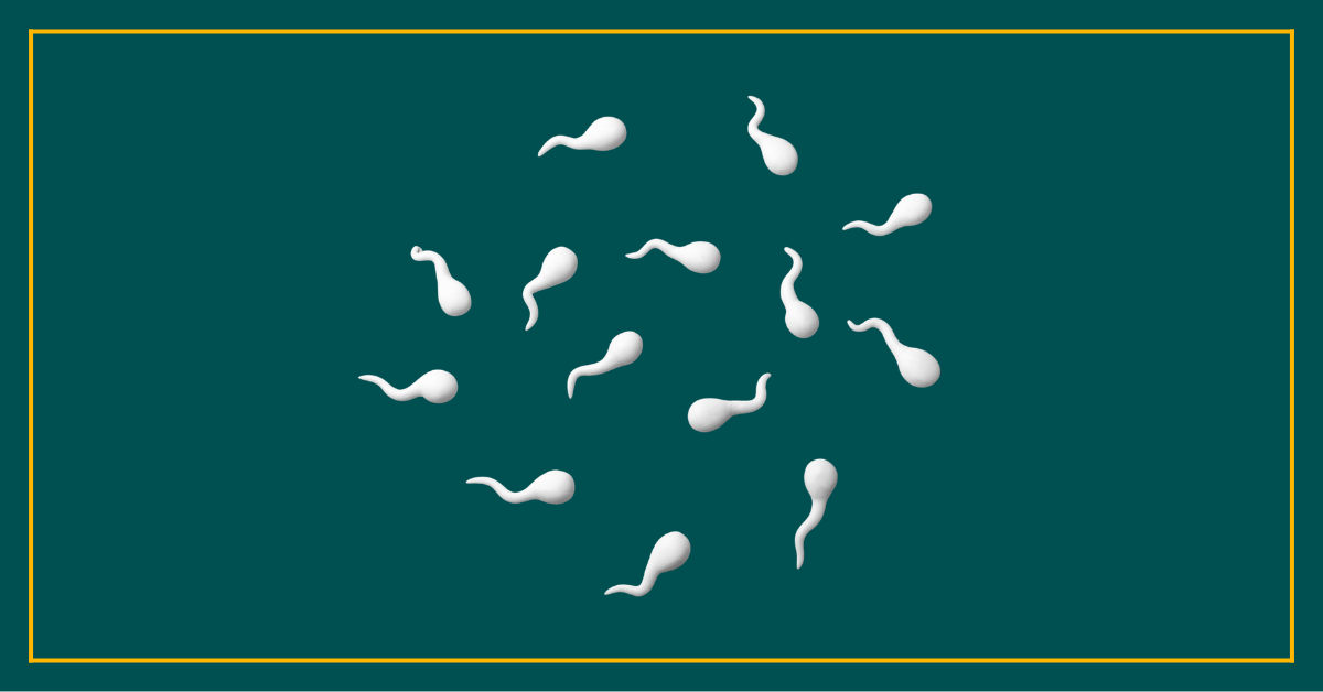The “Spermpocalypse” – Male Fertility, Sperm Health & Lifestyle Factors