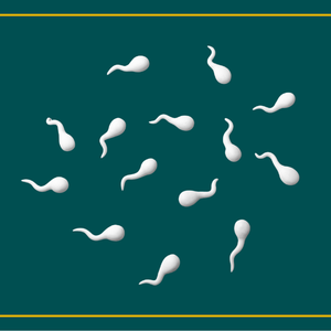 The “Spermpocalypse” – Male Fertility, Sperm Health & Lifestyle Factors